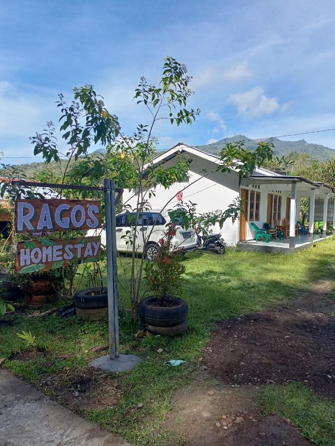 Rago'S Homestay Kelimutu Kültér fotó